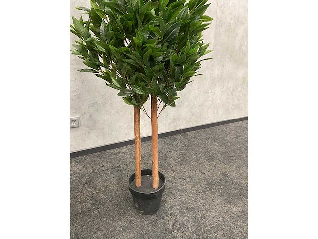 2x kunst laurier kolom h180 ongebruikt - afbeelding 5 van  13