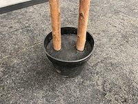 2x kunst laurier kolom h180 ongebruikt - afbeelding 6 van  13