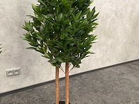 2x kunst laurier kolom h180 ongebruikt - afbeelding 10 van  13