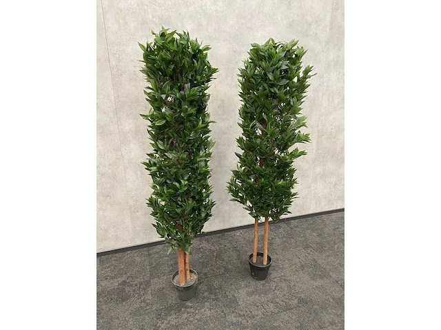2x kunst laurier kolom h180 ongebruikt - afbeelding 11 van  13