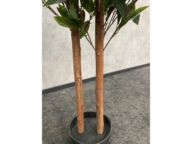 2x kunst laurier kolom h180 ongebruikt - afbeelding 7 van  16