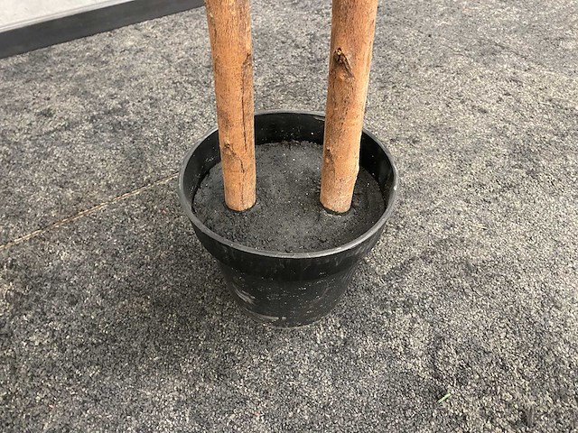 2x kunst laurier kolom h180 ongebruikt - afbeelding 8 van  16