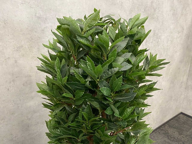 2x kunst laurier kolom h180 ongebruikt - afbeelding 10 van  16