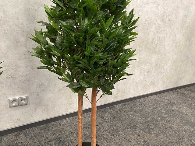 2x kunst laurier kolom h180 ongebruikt - afbeelding 12 van  16