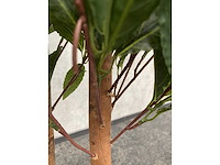 2x kunst laurier kolom h180 ongebruikt - afbeelding 13 van  16