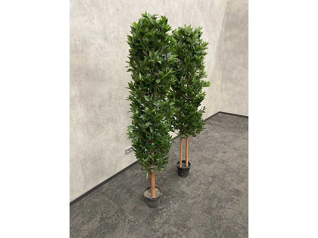 2x kunst laurier kolom h180 ongebruikt - afbeelding 16 van  16