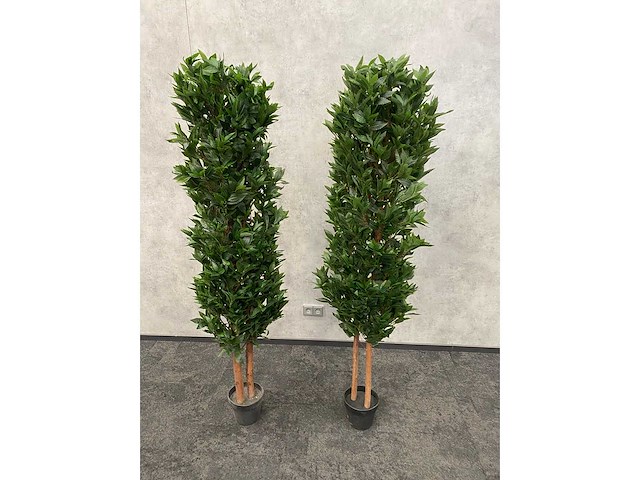 2x kunst laurier kolom h180 ongebruikt - afbeelding 1 van  7