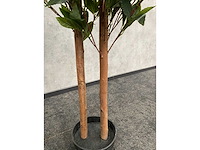 2x kunst laurier kolom h180 ongebruikt - afbeelding 4 van  7