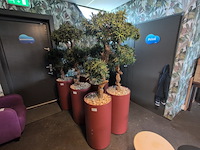 2x kunstboom in pot - afbeelding 2 van  5