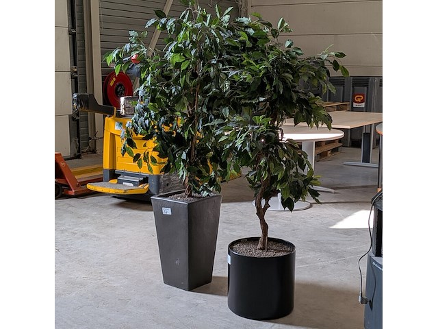 2x kunstplant in pot - afbeelding 1 van  7