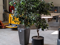 2x kunstplant in pot