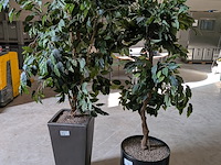 2x kunstplant in pot - afbeelding 2 van  7