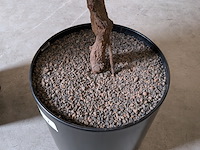 2x kunstplant in pot - afbeelding 4 van  7