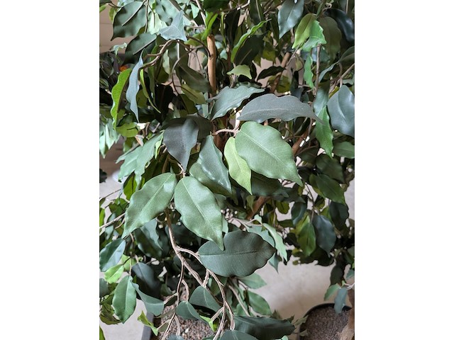 2x kunstplant in pot - afbeelding 6 van  7