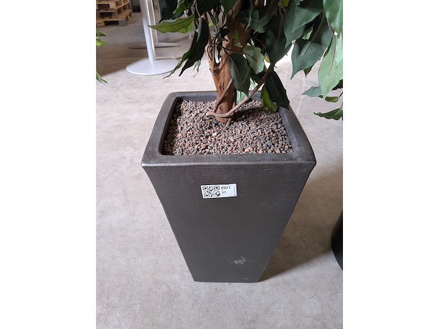 2x kunstplant in pot - afbeelding 7 van  7