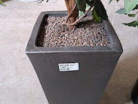 2x kunstplant in pot - afbeelding 7 van  7