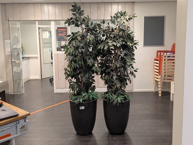 2x kunstplant in pot - afbeelding 1 van  8