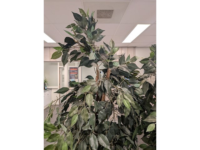 2x kunstplant in pot - afbeelding 3 van  8