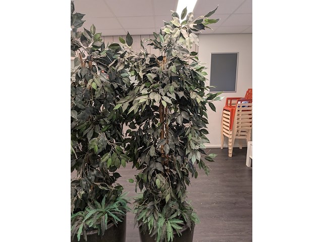 2x kunstplant in pot - afbeelding 6 van  8