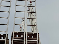2x ladder, hailo, profistep uno 7118-001 - afbeelding 5 van  5