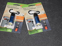 2x mageet lampje in a8