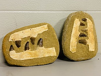 2x mosasaurus kaken in matrix - afbeelding 1 van  4