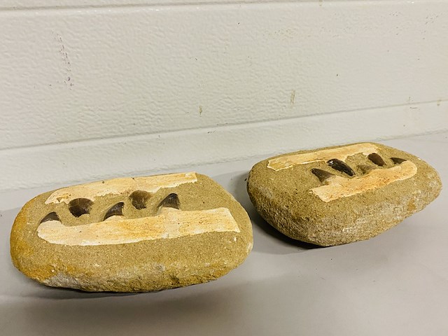 2x mosasaurus kaken in matrix - afbeelding 4 van  4