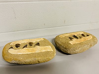 2x mosasaurus kaken in matrix - afbeelding 4 van  4