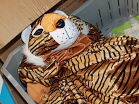 2x onesie leeuw mmaat 165 - afbeelding 2 van  3