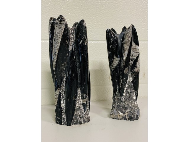 2x orthoceras toren - afbeelding 1 van  5