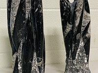 2x orthoceras toren - afbeelding 1 van  5