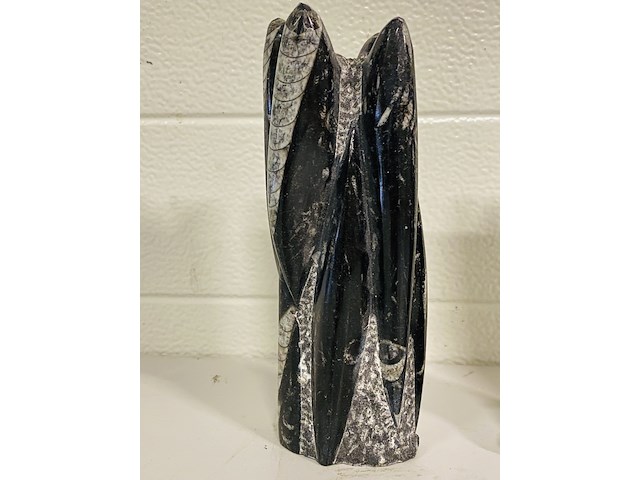 2x orthoceras toren - afbeelding 2 van  5