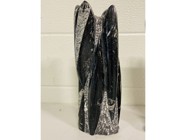 2x orthoceras toren - afbeelding 3 van  5