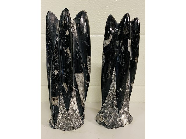 2x orthoceras toren - afbeelding 5 van  5