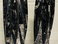 2x orthoceras toren - afbeelding 5 van  5