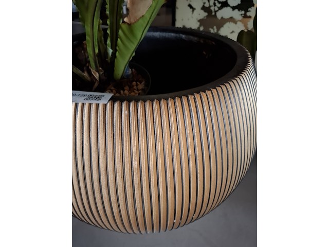 2x plant in pot - afbeelding 5 van  7