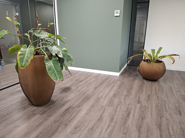 2x plant in pot - afbeelding 1 van  7