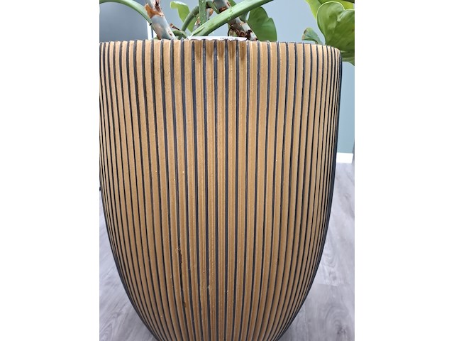 2x plant in pot - afbeelding 4 van  7