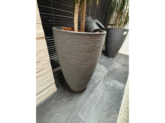 2x plant in pot - afbeelding 2 van  4