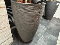 2x plant in pot - afbeelding 2 van  4