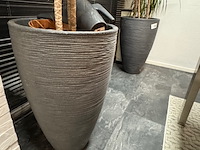 2x plant in pot - afbeelding 3 van  4