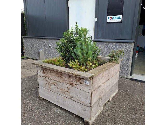 2x plantenbak met diverse planten - afbeelding 1 van  7
