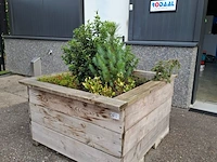 2x plantenbak met diverse planten