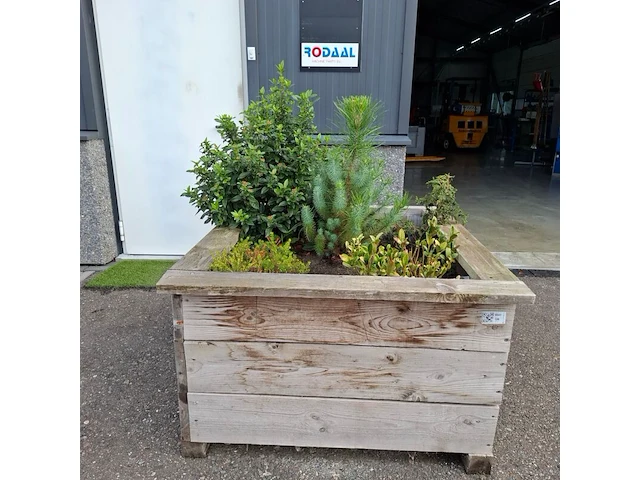 2x plantenbak met diverse planten - afbeelding 2 van  7