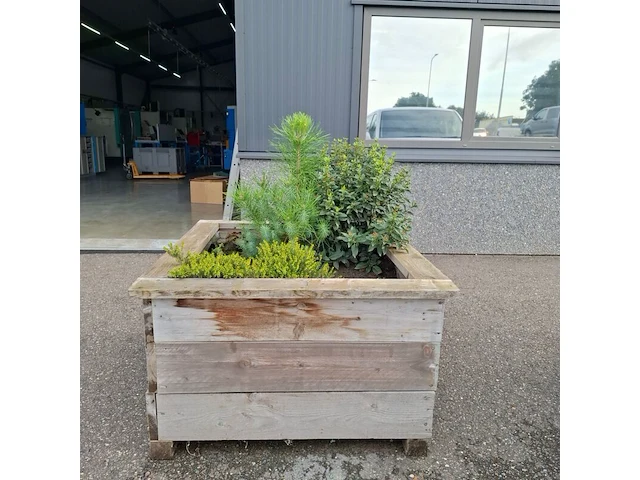 2x plantenbak met diverse planten - afbeelding 4 van  7
