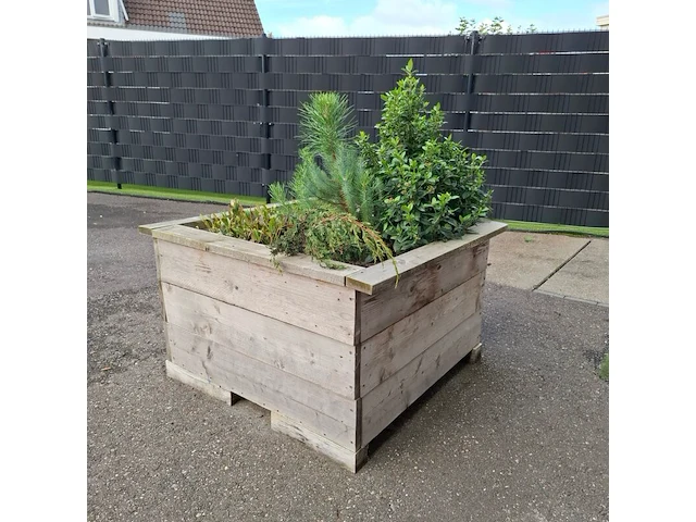 2x plantenbak met diverse planten - afbeelding 6 van  7