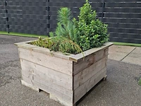 2x plantenbak met diverse planten - afbeelding 6 van  7