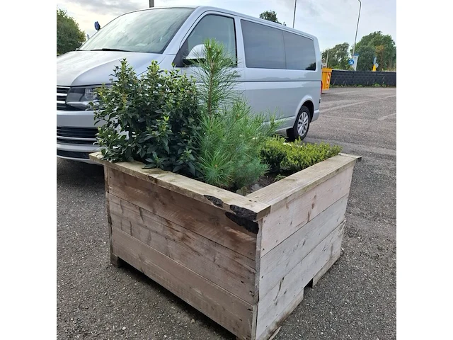 2x plantenbak met diverse planten - afbeelding 7 van  7