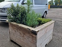 2x plantenbak met diverse planten - afbeelding 7 van  7