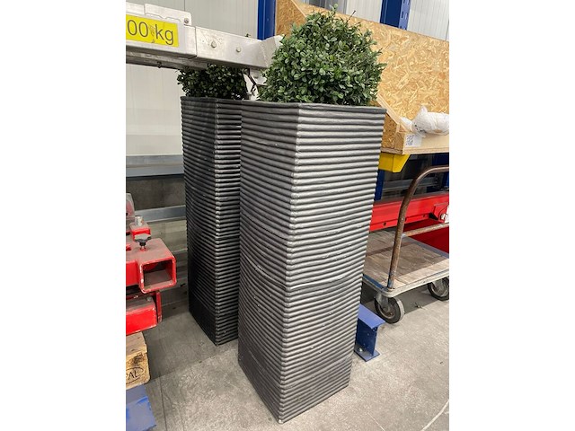 2x plantenbak met plant, antraciet - afbeelding 1 van  2